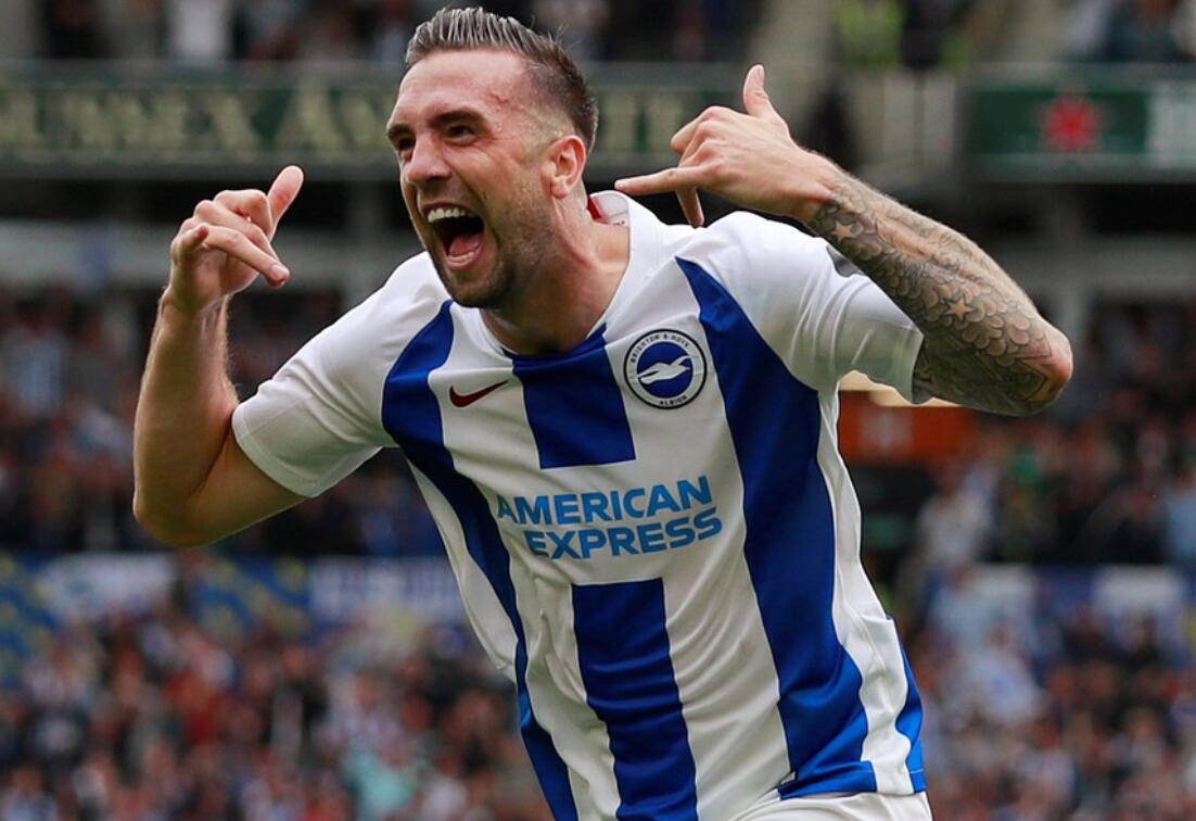 布莱顿富勒姆 布莱顿富勒姆